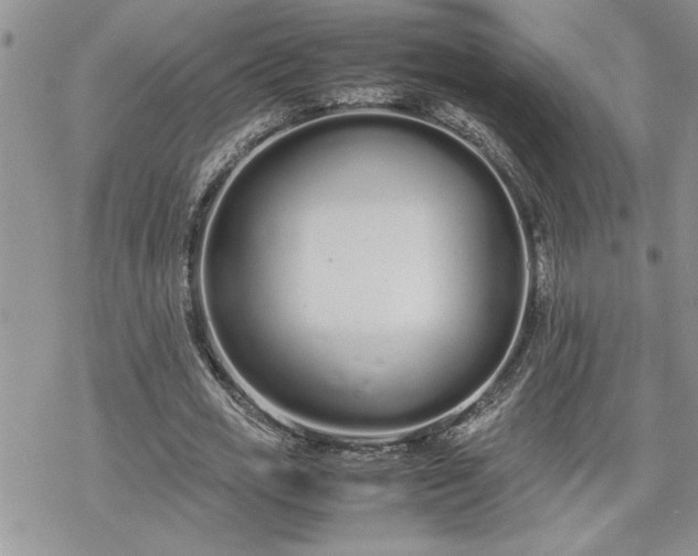 X0000070380725200606121252