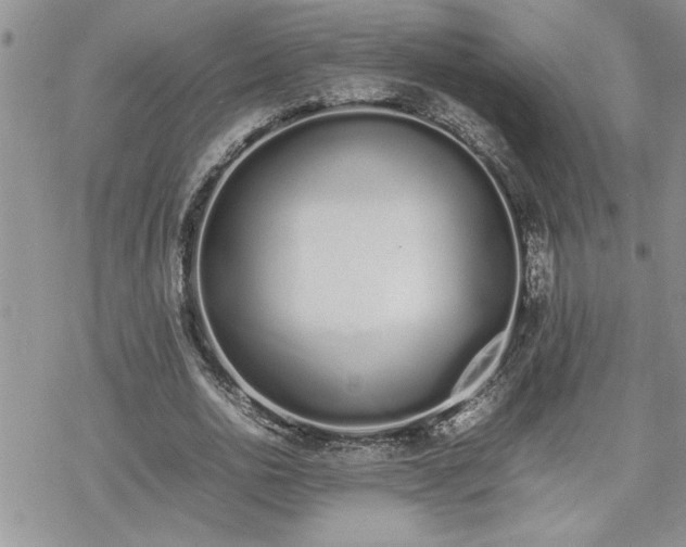 X0000070380726200606121252