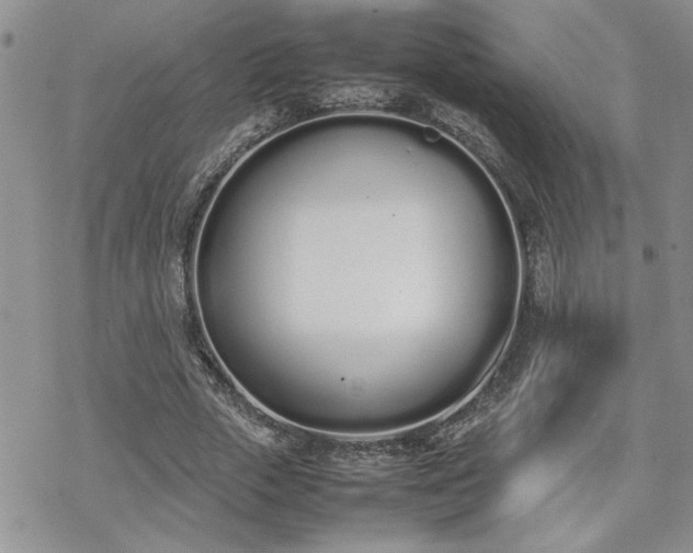 X0000070380729200606121252