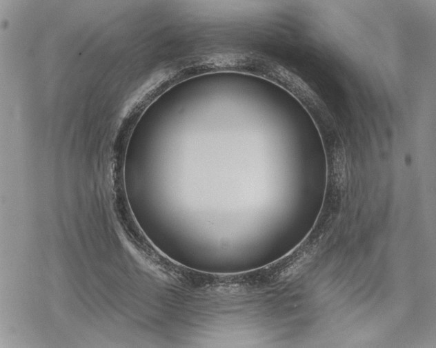 X0000070380730200606121252