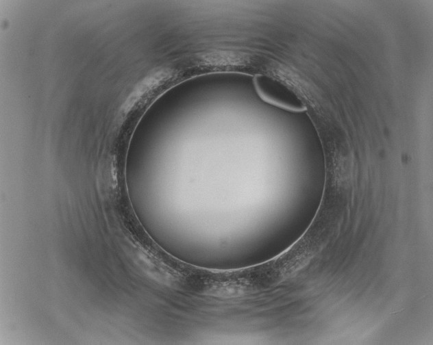 X0000070380731200606121252