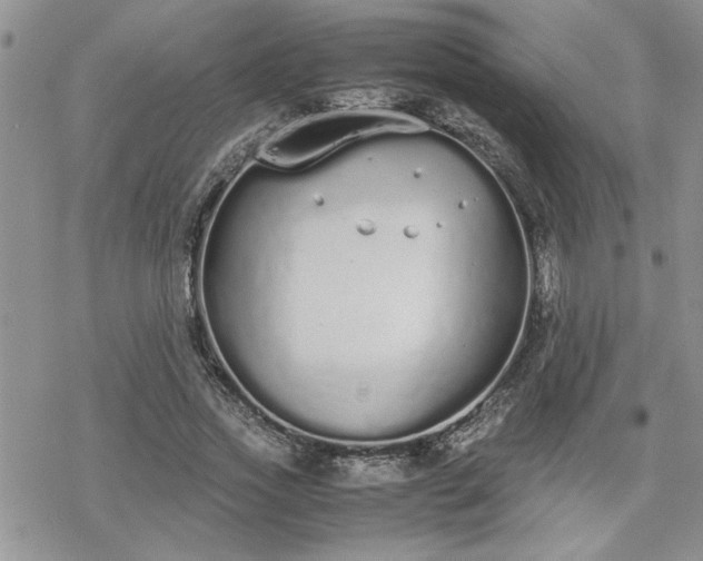 X0000070380733200606121252