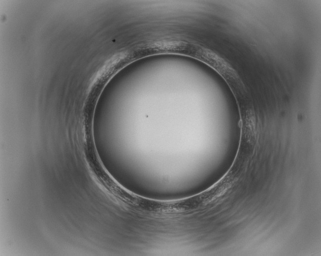 X0000070380734200606121252