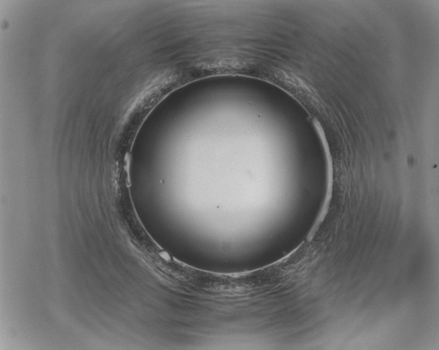 X0000070380735200606121252