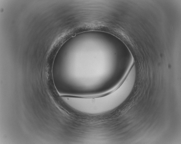 X0000070380736200606121252