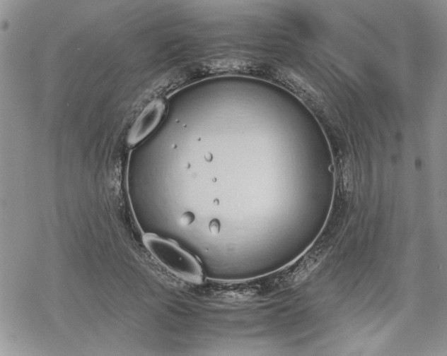 X0000070380737200606121252