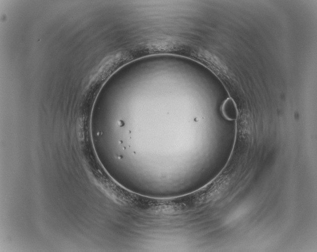 X0000070380738200606121252