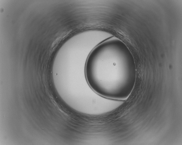 X0000070380740200606121252