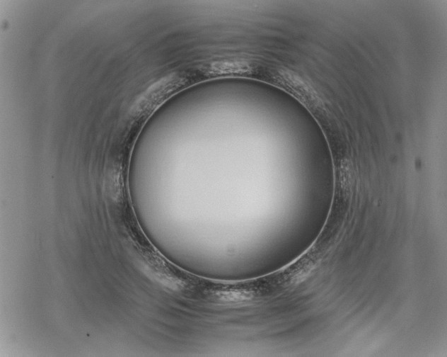 X0000070380741200606121252