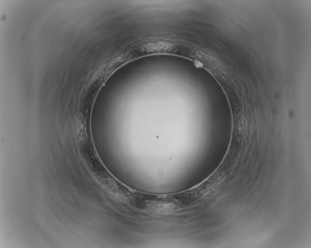 X0000070380743200606121252