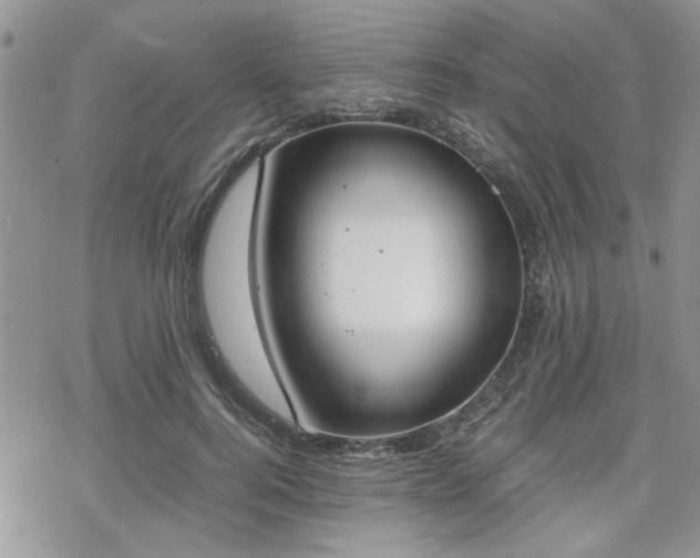 X0000070380744200606121252