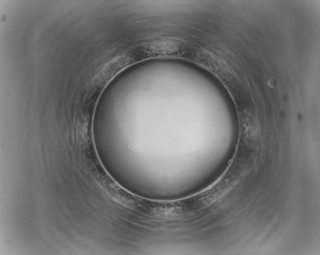 X0000070380745200606121252