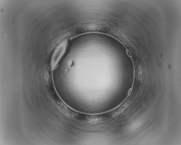 X0000070380746200606121252