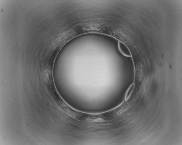 X0000070380747200606121252