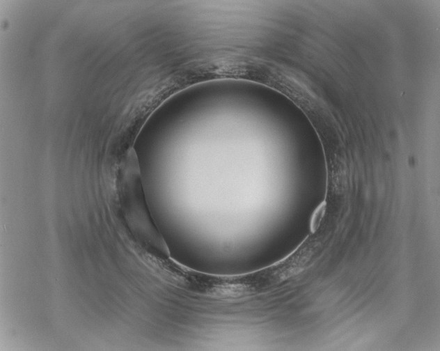 X0000070380748200606121252