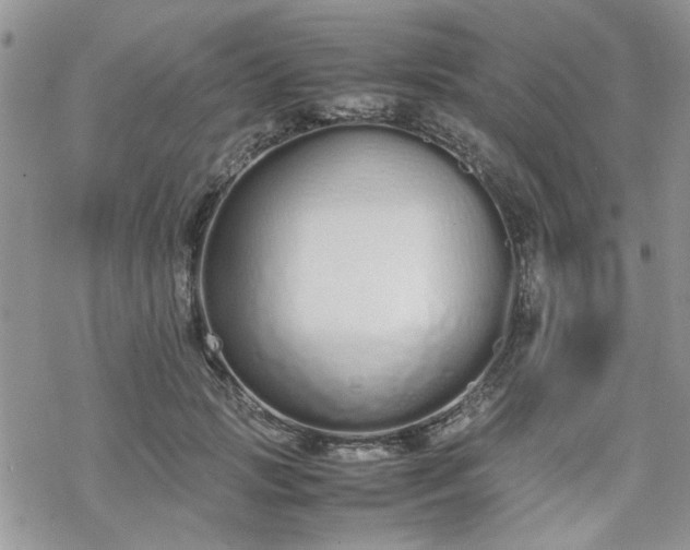 X0000070380749200606121252