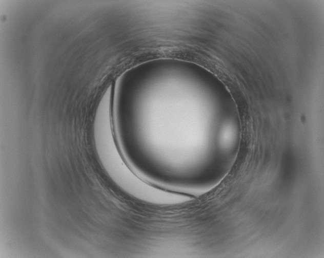 X0000070380750200606121252