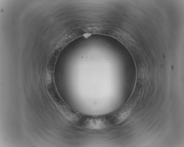 X0000070380751200606121252