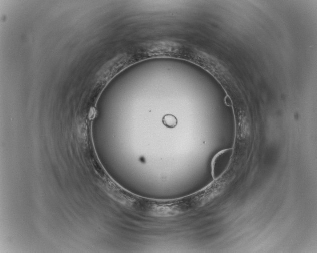 X0000070380753200606121252