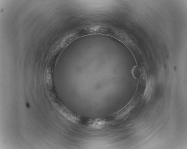 X0000070380754200606121252