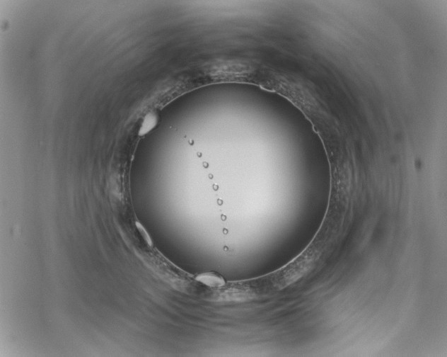 X0000070380755200606121252