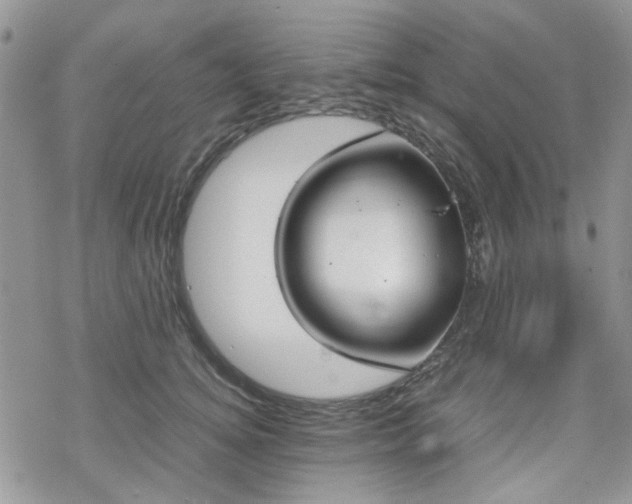 X0000070380756200606121252