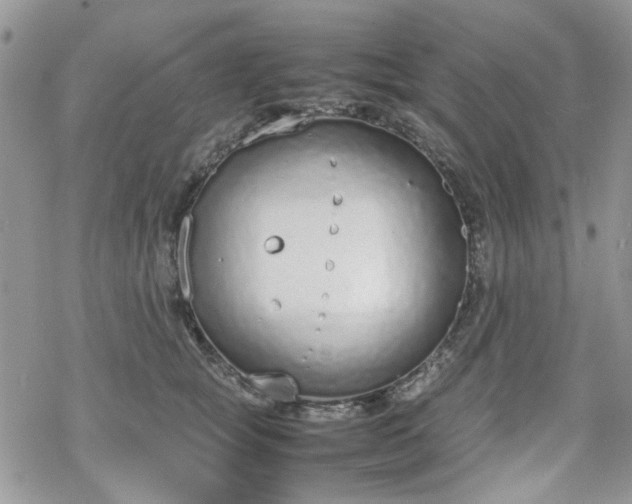 X0000070380757200606121252