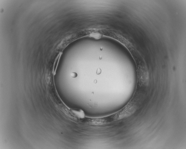 X0000070380758200606121252