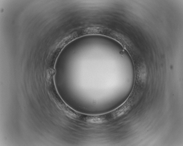 X0000070380759200606121252