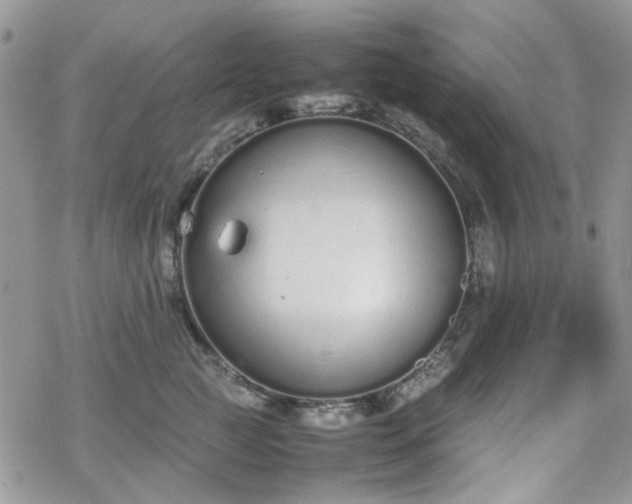 X0000070380761200606121252