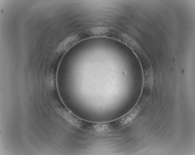 X0000070380762200606121252