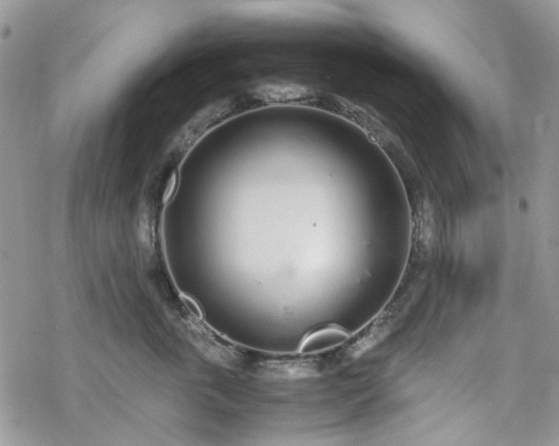 X0000070380763200606121252