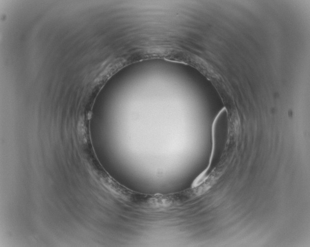 X0000070380764200606121252