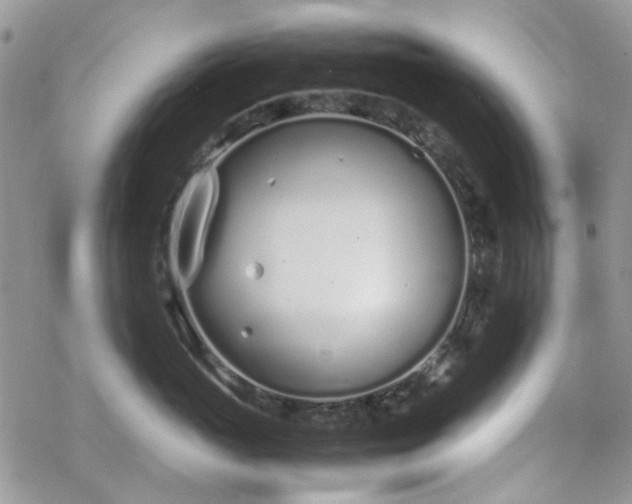 X0000070380765200606121252