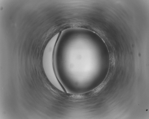 X0000070380766200606121252