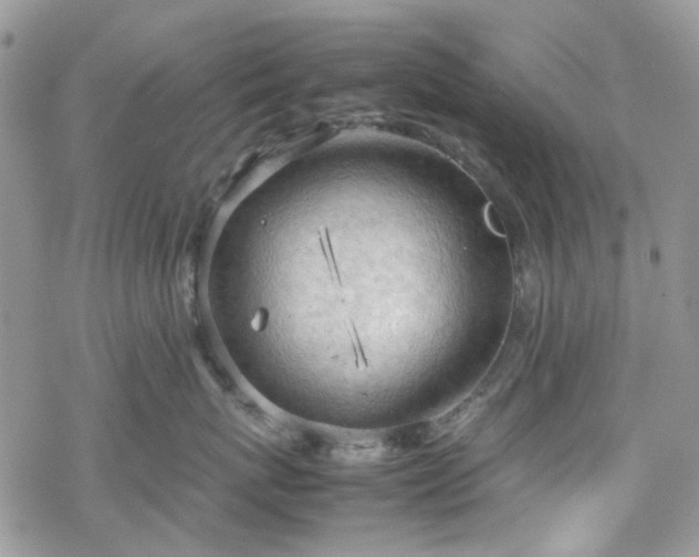 X0000070380767200606121252