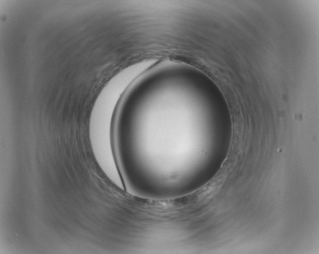 X0000070380768200606121252