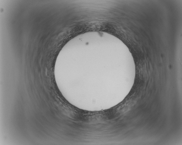 X0000070380769200606121252