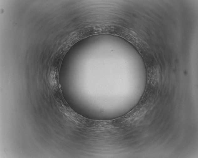 X0000070380770200606121252