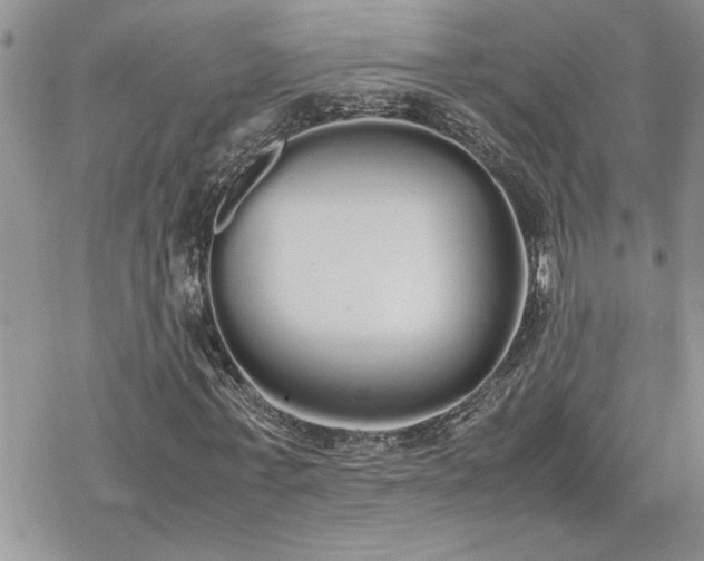 X0000070380771200606121252