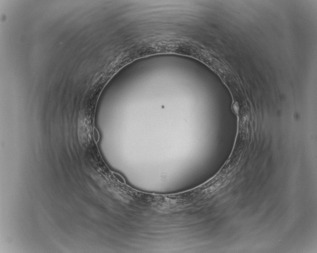 X0000070380772200606121252