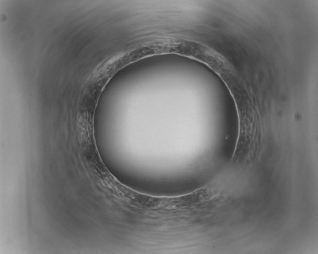 X0000070380773200606121252