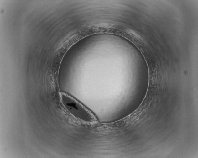 X0000070380774200606121252