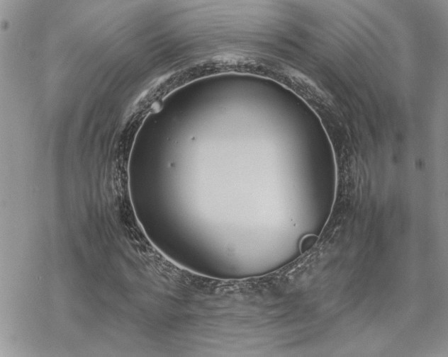 X0000070380776200606121252