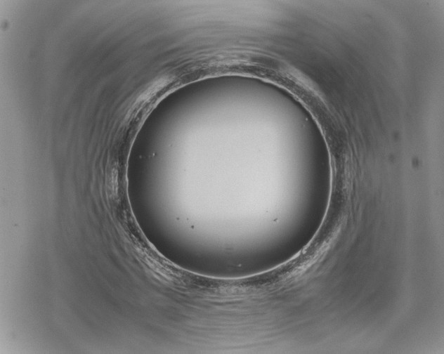 X0000070380777200606121252