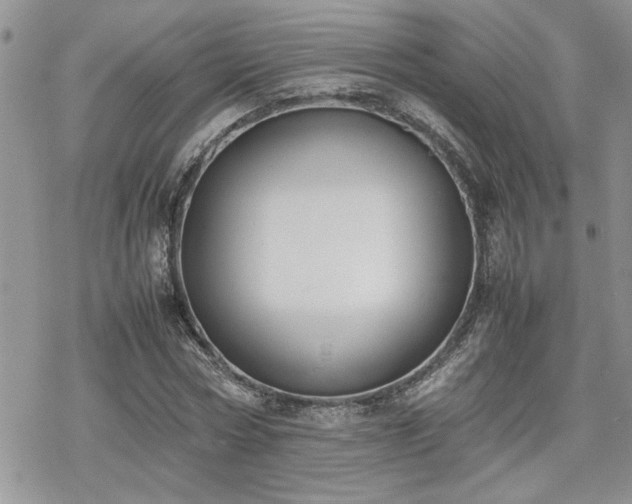 X0000070380778200606121252