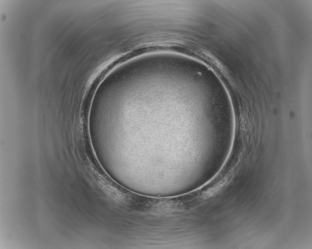 X0000070380779200606121252