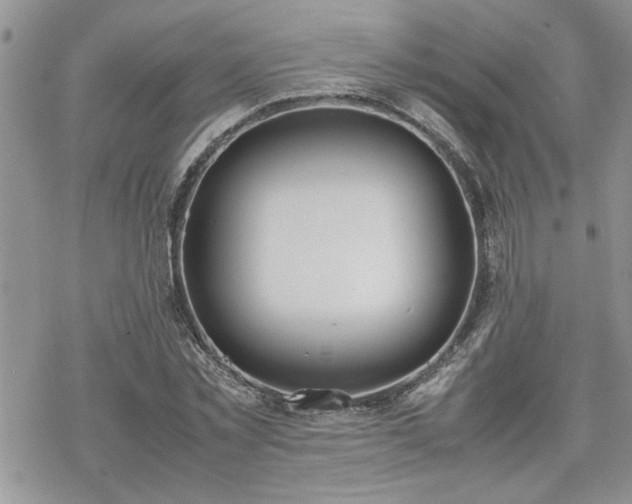 X0000070380781200606121252