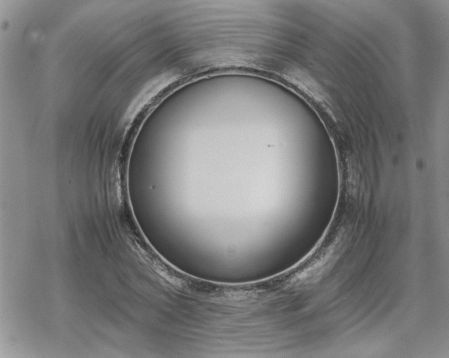 X0000070380782200606121251