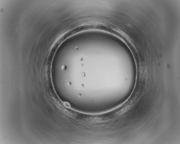 X0000070380783200606121251